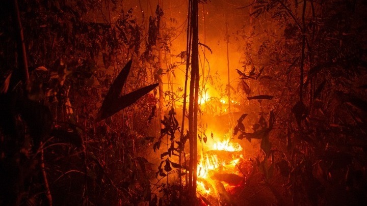 Πυρκαγιές στον Αμαζόνιο: 63 συλλήψεις και πρόστιμα 8,7 εκατ. δολ. ανακοίνωσε η Βραζιλία - Φωτογραφία 1