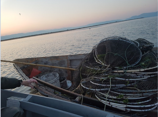 Έριξαν παράνομα δίχτυα για ψάρεμα στον Αμβρακικό Κόλπο - Φωτογραφία 1