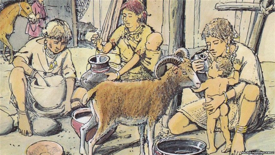 Έρευνα: Οι προϊστορικές μαμάδες χρησιμοποιούσαν γάλα... ζώων για τον απογαλακτισμό των μωρών τους - Φωτογραφία 3