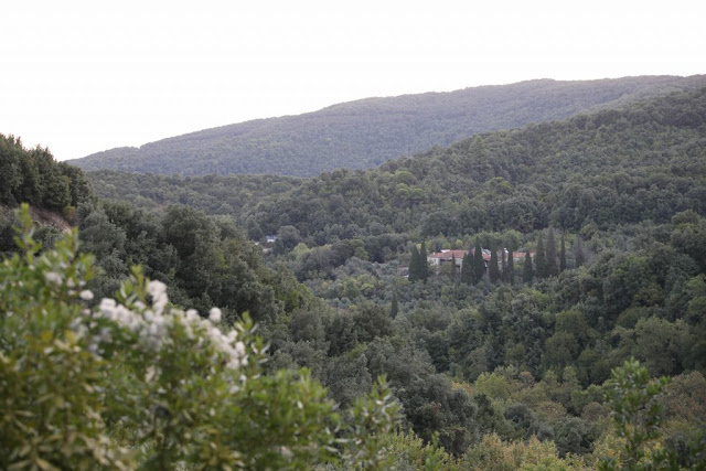 12543 - Φωτογραφίες από την Πανήγυρη στο Ιερό Βατοπαιδινό Κελλί Γέννησης της Θεοτόκου (Τραμουντάνη), στο Άγιο Όρος - Φωτογραφία 6