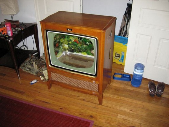 ΚΑΤΑΣΚΕΥΕΣ - Μετέτρεψε την παλιά τηλεόραση σε ενυδρείο - Φωτογραφία 10
