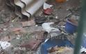 Λαμία: Δηλητηρίασαν δεκάδες γάτες