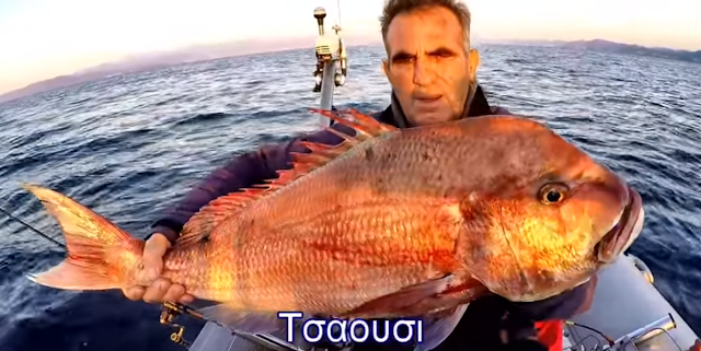 Νέο βίντεο - Κυνηγωντας τα κοκκαλια στα τελευταια ψαρεματα - Φωτογραφία 1