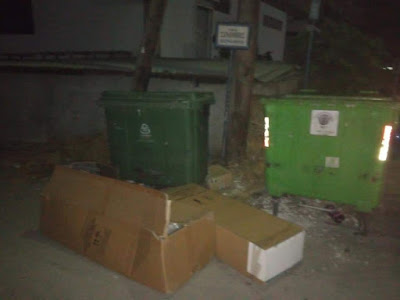 Αγανάκτηση με τα σκουπίδια στη Ρόδο - φώτος - Φωτογραφία 6