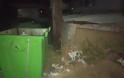 Αγανάκτηση με τα σκουπίδια στη Ρόδο - φώτος - Φωτογραφία 4