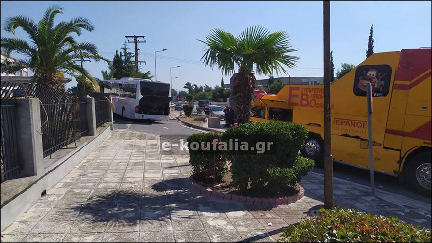 Θεσσαλονίκη: Το ατύχημα με το ΚΤΕΛ και τους 12 τραυματίες προκλήθηκε από μια... μέλισσα - Φωτογραφία 3