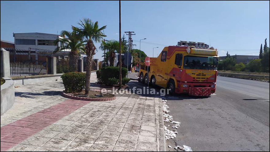 Θεσσαλονίκη: Το ατύχημα με το ΚΤΕΛ και τους 12 τραυματίες προκλήθηκε από μια... μέλισσα - Φωτογραφία 4