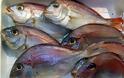 Έρευνα που σοκάρει: Όλη η αλήθεια για τα ψάρια που τρώμε - Από τη φορμόλη στα... ψυχοφάρμακα