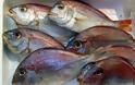 Έρευνα που σοκάρει: Όλη η αλήθεια για τα ψάρια που τρώμε - Από τη φορμόλη στα... ψυχοφάρμακα - Φωτογραφία 2