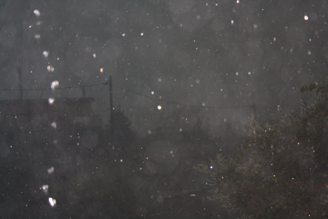 «Σκοτείνιασε» ο τόπος στην ΚΑΤΟΥΝΑ: Καταιγίδες και χαλάζι έπληξαν το Χωριό σήμερα το πρωί! [ΦΩΤΟ: Πάνος Τσούτσουρας] - Φωτογραφία 11