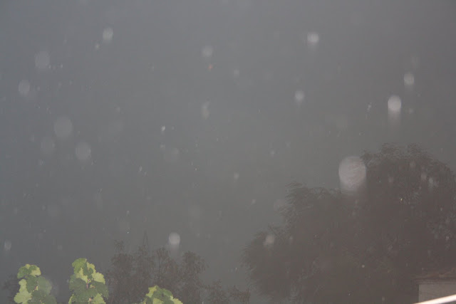 «Σκοτείνιασε» ο τόπος στην ΚΑΤΟΥΝΑ: Καταιγίδες και χαλάζι έπληξαν το Χωριό σήμερα το πρωί! [ΦΩΤΟ: Πάνος Τσούτσουρας] - Φωτογραφία 13