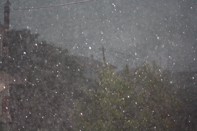 «Σκοτείνιασε» ο τόπος στην ΚΑΤΟΥΝΑ: Καταιγίδες και χαλάζι έπληξαν το Χωριό σήμερα το πρωί! [ΦΩΤΟ: Πάνος Τσούτσουρας] - Φωτογραφία 6
