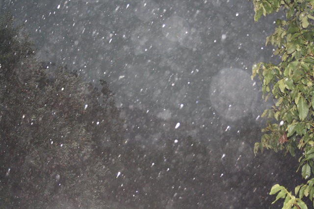 «Σκοτείνιασε» ο τόπος στην ΚΑΤΟΥΝΑ: Καταιγίδες και χαλάζι έπληξαν το Χωριό σήμερα το πρωί! [ΦΩΤΟ: Πάνος Τσούτσουρας] - Φωτογραφία 8
