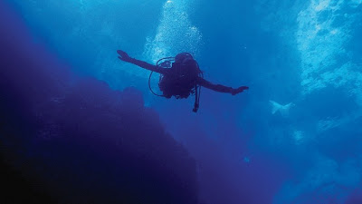 Φειδώ Μπομπόση : Φαρμακοποιός, αυτοδύτρια, ψαρεύει σκουπίδια για να σώσει τις θάλασσες μας - Φωτογραφία 2