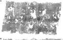 Βρήκαν κρυμμένο αρχαιοελληνικό θησαυρό στη πίσω πλευρά καμμένων παπύρων του Βεζούβιου - Φωτογραφία 2