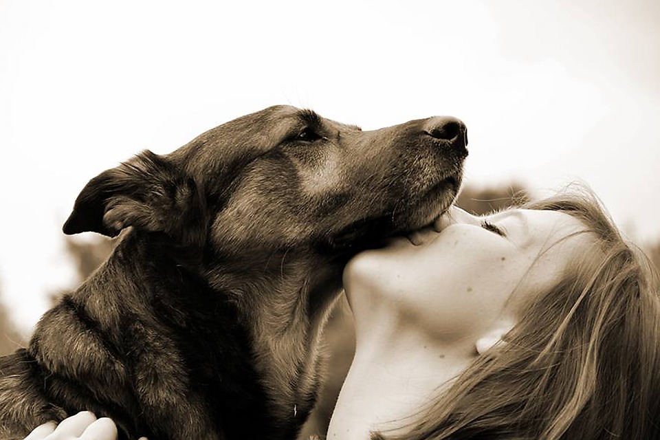 Ένας σκύλος σε μαθαίνει ν’ αγαπάς - Φωτογραφία 1