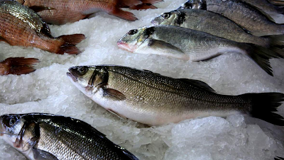 Χρ. Στελακάτος: «Η βιομηχανία ψαριών μάς ταΐζει καρκίνο, δεν θα σταματήσω να το λέω» - Φωτογραφία 1