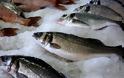 Χρ. Στελακάτος: «Η βιομηχανία ψαριών μάς ταΐζει καρκίνο, δεν θα σταματήσω να το λέω»