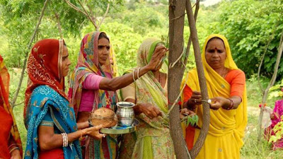 Ινδία: Φυτεύουν 111 δέντρα για κάθε κορίτσι που γεννιέται - Φωτογραφία 1