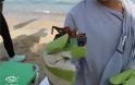 Φωτος - σοκ: Γεμάτος σκουπίδια ο βυθός σε θάλασσα της Θάσου - Φωτογραφία 3
