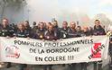 Γαλλία: Αστυνομικοί έριξαν δακρυγόνα σε πυροσβέστες που διαδήλωναν στο Παρίσι - Φωτογραφία 3