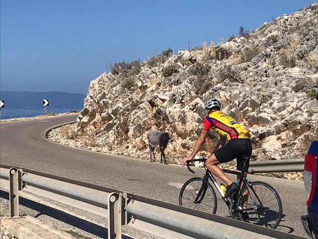 Παραλίγο ατύχημα ΠΟΔΗΛΑΤΗ με… ΑΓΕΛΑΔΑ στην ποδηλατική διαδρομή (Πάλαιρος- Μύτικας) - [ΦΩΤΟ] - Φωτογραφία 4