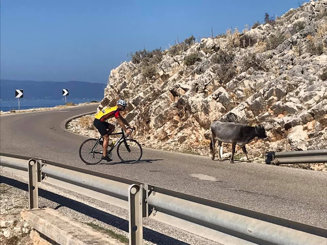 Παραλίγο ατύχημα ΠΟΔΗΛΑΤΗ με… ΑΓΕΛΑΔΑ στην ποδηλατική διαδρομή (Πάλαιρος- Μύτικας) - [ΦΩΤΟ] - Φωτογραφία 5