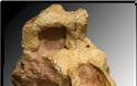Ο ΟΥΡΑΝΟΠΙΘΗΚΟΣ ο ΜΑΚΕΔΟΝΙΚΟΣ - Το ΑΡΧΑΙΟΤΕΡΟ έως τώρα ΑΝΘΡΩΠΟΕΙΔΕΣ στον κόσμο, έζησε πριν 11.000.000 χρόνια στην Μακεδονία - Φωτογραφία 1