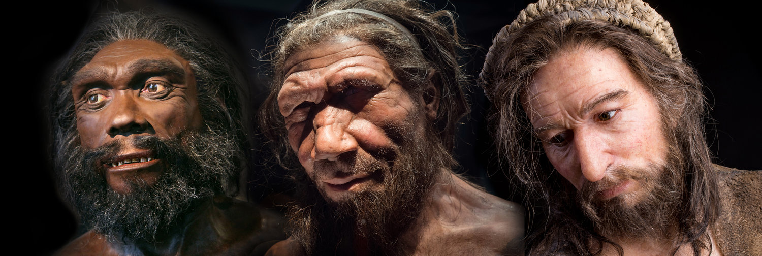 Οι πρώτοι άνθρωποι ζούσαν στα Ελληνικά νησιά δέκαδες χιλιάδες χρόνια νωρίτερα από ό, τι πίστευαν μέχρι σήμερα - Φωτογραφία 12