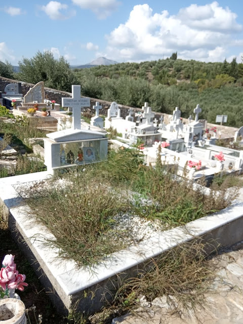 Πνιγμένο στα χόρτα το νεκροταφείο στον ΠΡΟΔΡΟΜΟ Ξηρομέρου - [ΦΩΤΟ] - Φωτογραφία 7