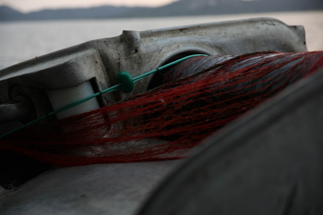 12660 - Φωτογραφικό ταξίδι με τους Βατοπαιδινούς ψαράδες - Φωτογραφία 17