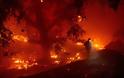 Καλιφόρνια: Εκατοντάδες εκκενώσεις σπιτιών από την πύρινη λαίλαπα - Φωτογραφία 2