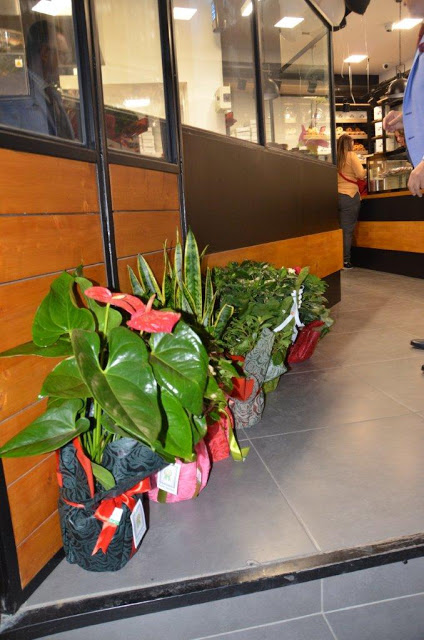 Λαμπερά εγκαίνια για το κατάστημα MON KULUR που άνοιξε ο Μιχάλης Τσίπης στον Κορυδαλλό - ΦΩΤΟ - Φωτογραφία 115