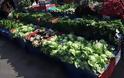 Κατασχέθηκαν επτά τόνοι λαχανικά δηλητήριο από την Αλβανία