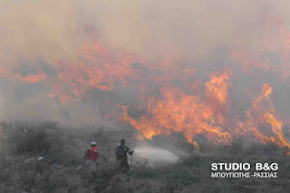 Μεγάλη φωτιά από το πρωί στην περιοχή Προσύμνης στην Αργολίδα - Φωτογραφία 1