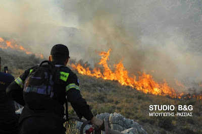 Μεγάλη φωτιά από το πρωί στην περιοχή Προσύμνης στην Αργολίδα - Φωτογραφία 2