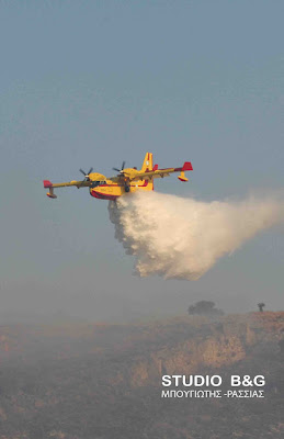 Μεγάλη φωτιά από το πρωί στην περιοχή Προσύμνης στην Αργολίδα - Φωτογραφία 4