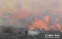 Μεγάλη φωτιά από το πρωί στην περιοχή Προσύμνης στην Αργολίδα