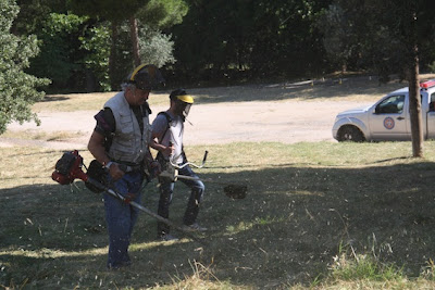 Έγινε και η 4η Εθελοντική Δράση Καθαρισμού δασών του δήμου Πεντέλης - Φωτογραφία 2