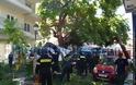 Πρέβεζα: Πλάτανος έπεσε πάνω σε διερχόμενα αυτοκίνητα σε κεντρικό δρόμο της πόλης