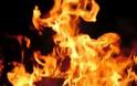 Κάηκε ολοσχερώς βιοτεχνία ξύλου στην Αλεξανδρούπολη