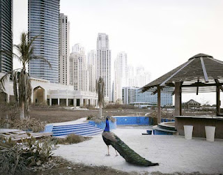 Πώς θα είναι το Ντουμπάι εάν… εγκαταλειφθεί; - Φωτογραφία 1