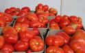 5 τόνοι ντομάτες πεσκέσι από το Συνεταιρισμό Τυμπακίου