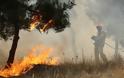 Πάτρα: Υπό μερικό έλεγχο αυτή την ώρα η πυρκαγιά στο Παυλόκαστρο - Έχουν ήδη αποτεφρωθεί 20 στρέμματα