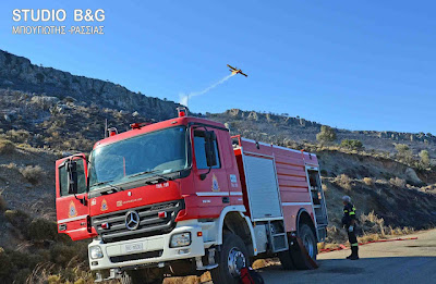 Φωτογραφίες από τη φωτιά στη παραλία Καραθώνας - Φωτογραφία 2