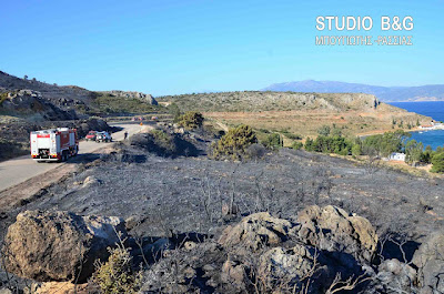 Φωτογραφίες από τη φωτιά στη παραλία Καραθώνας - Φωτογραφία 4