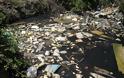 Εικόνες ντροπής στο ποτάμι του Μαΐστρου Αλεξανδρούπολης - Φωτογραφία 7