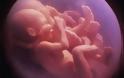 Διάλογος δύο Εμβρύων: Υπάρχει Ζωή Μετά τη ... Γέννα;