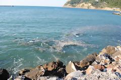 Μεγάλη ρύπανση σήμερα στην Σκόπελο