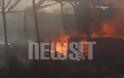 Νεκρός 28χρονος πυροσβέστης στη φωτιά στην Ελευσίνα - Κάηκαν σπίτια στην Σαλαμίνα
